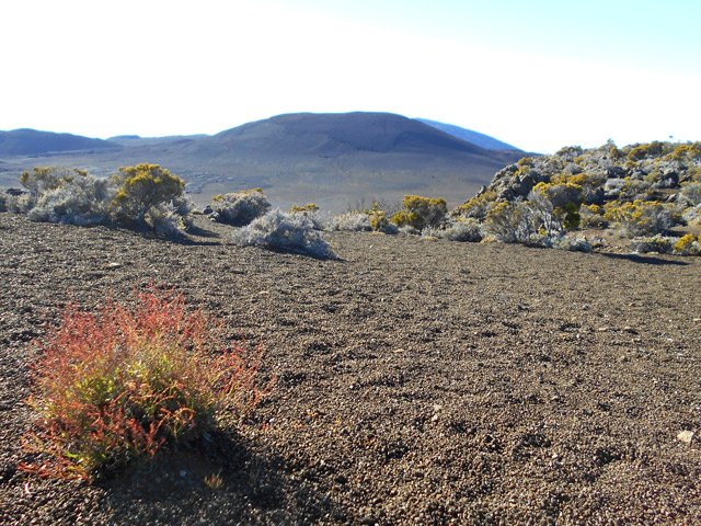 Le Chisny ne cachera bientôt plus le Piton de la Fournaise