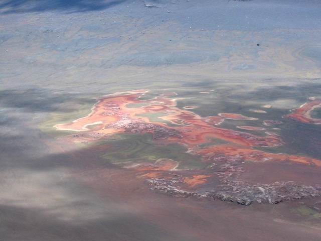 L'oxydation donne parfois à la Plaine de belles couleurs moirées.