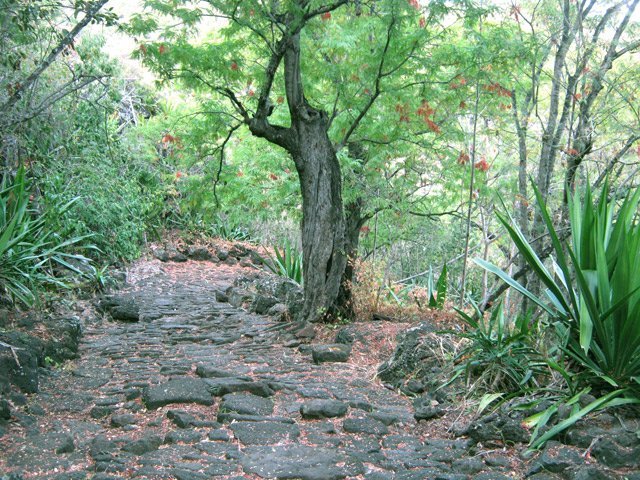 Forte montée en lacets dès le départ