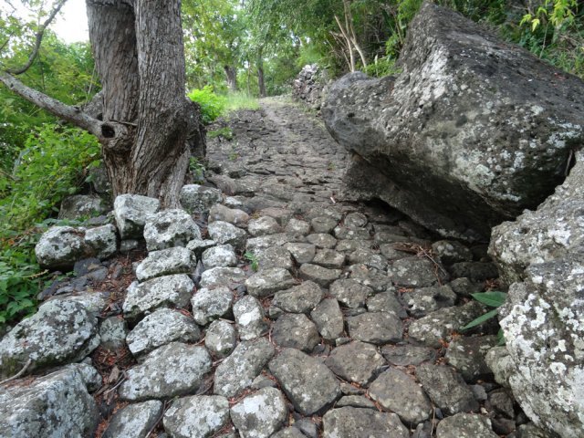 Plus moyen de passer un chariot entre éboulis et arbres