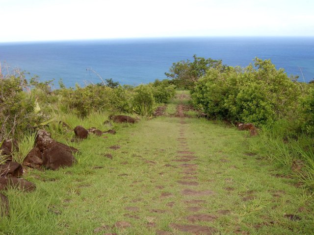 On devine quand même les pavés sous l'herbe