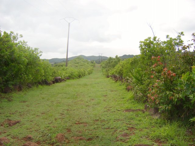 La dernière partie est surtout composée de terre parfois herbeuse