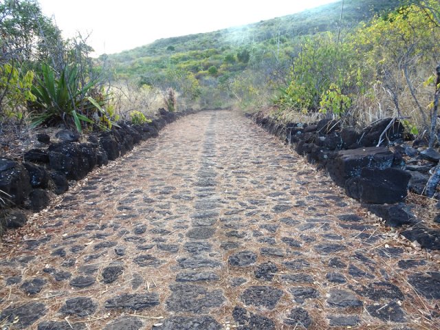 Certaines portions du chemin sont de véritables autoroutes pour les randonneurs