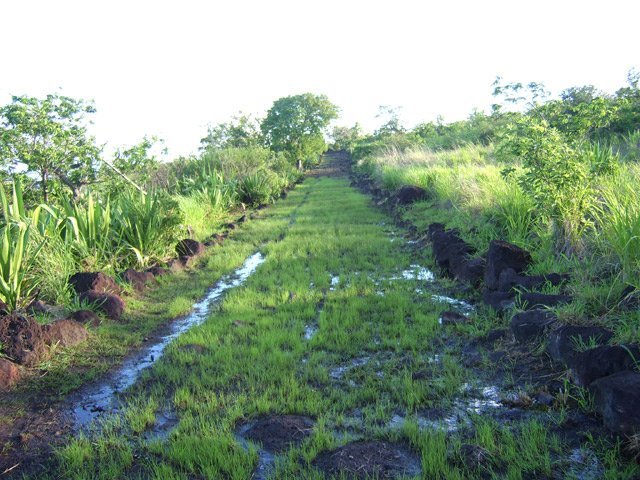 L'eau favorise la pousse et la verdure