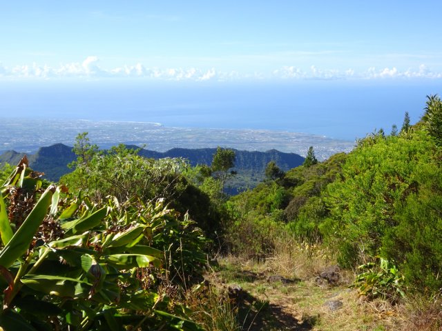 Nombreux panoramas sur la mer et la Chaîne du Bois de Nèfles