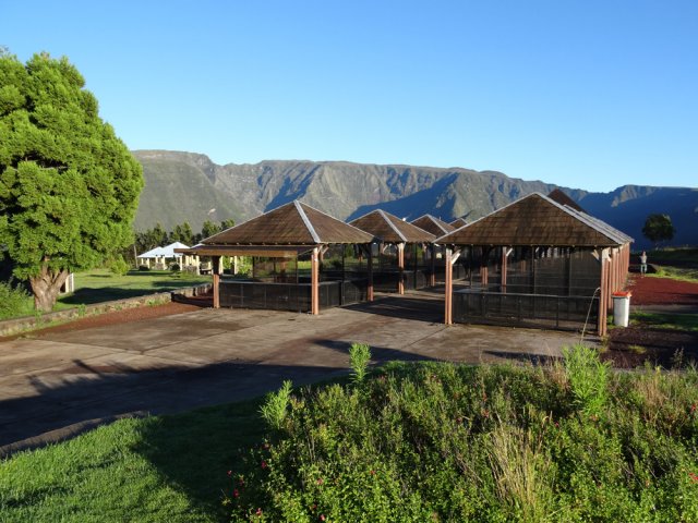 Pas de vendeur en semaine à 6 heures du matin à Bois Court