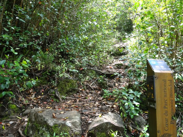 A l'entrée du Parc, la pente s'accentue