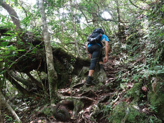 Les mains sont souvent sollicitées