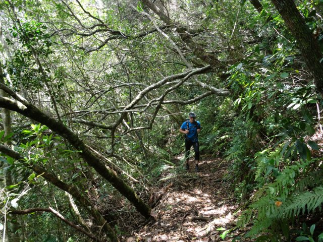 Un des rares endroits plats de la montée