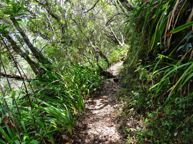 Les parties plates sont très rares mais permettent de souffler