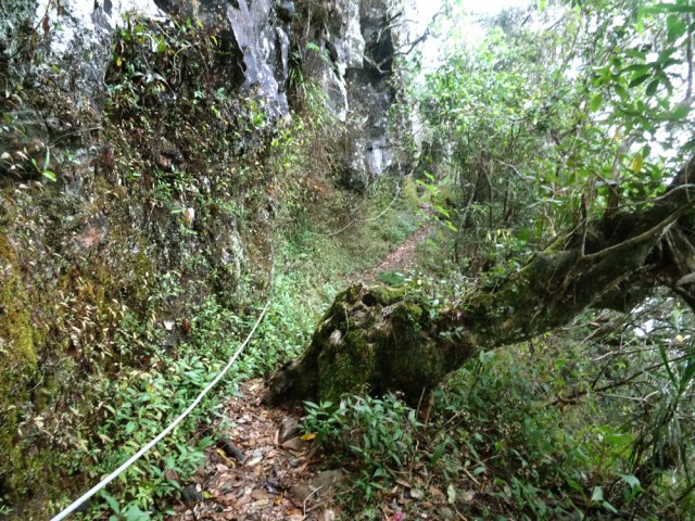 Longue falaise basaltique proche du précipice