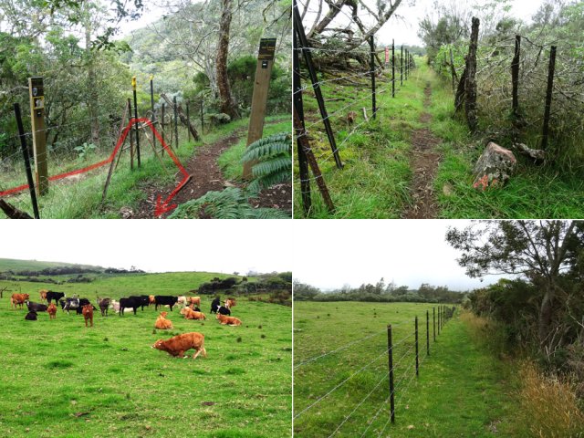 Le nouveau sentier qui évite un long détour vers le GRR2