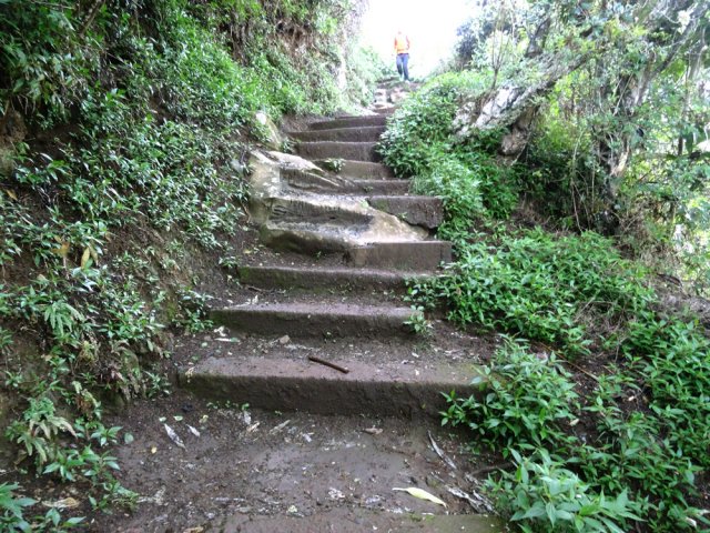 La descente débute par des marches bétonnées, dont certaines sont très hautes