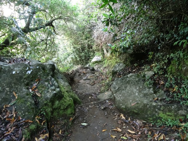 Le sentier est très souvent rocheux dans les bois de couleurs