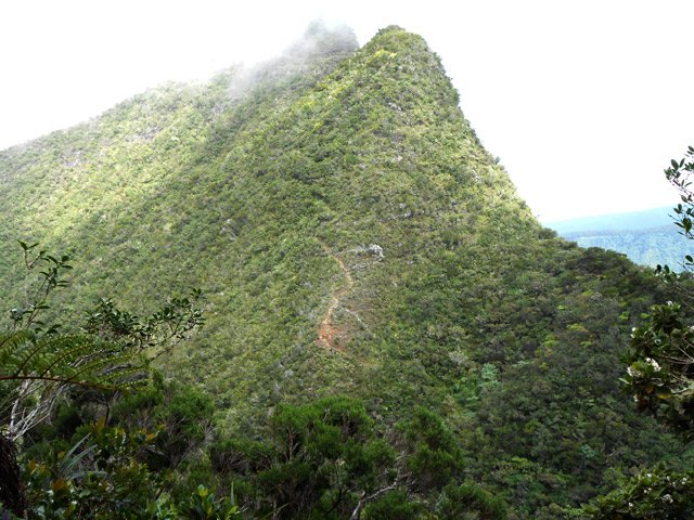 Après plusieurs dents de scie, le sentier vu en face coupe un peu les jambes avant d'y marcher