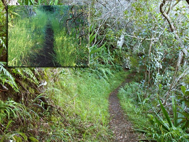 Le début du Bayonne s'effectue dans les herbes