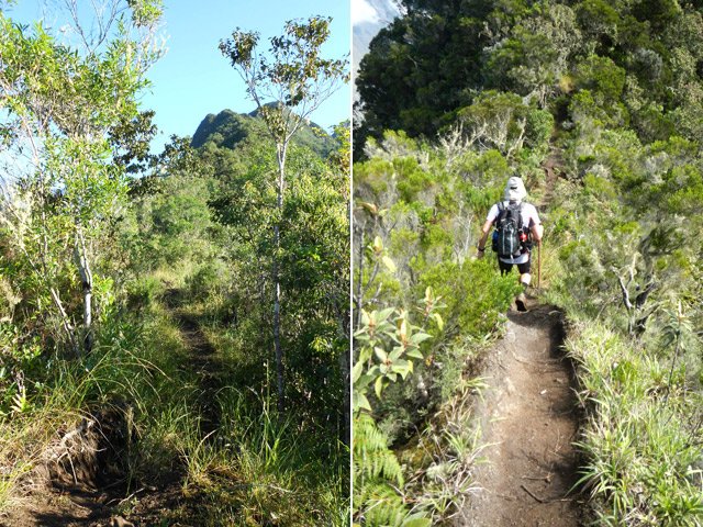 Profiter des rares portions plates pour reposer les jambes