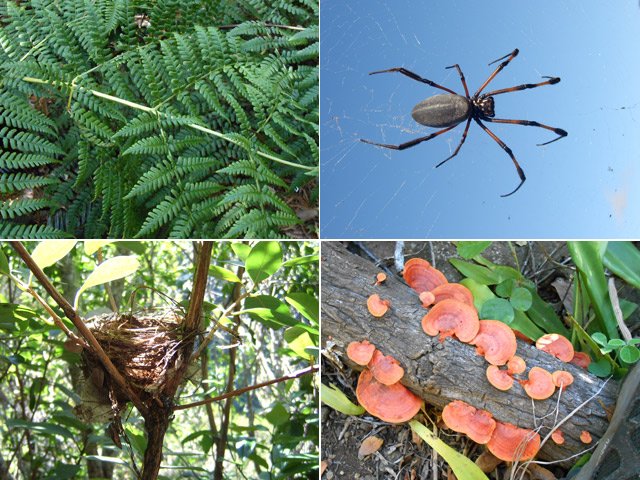 Un peu de nature à observer durant toute la montée