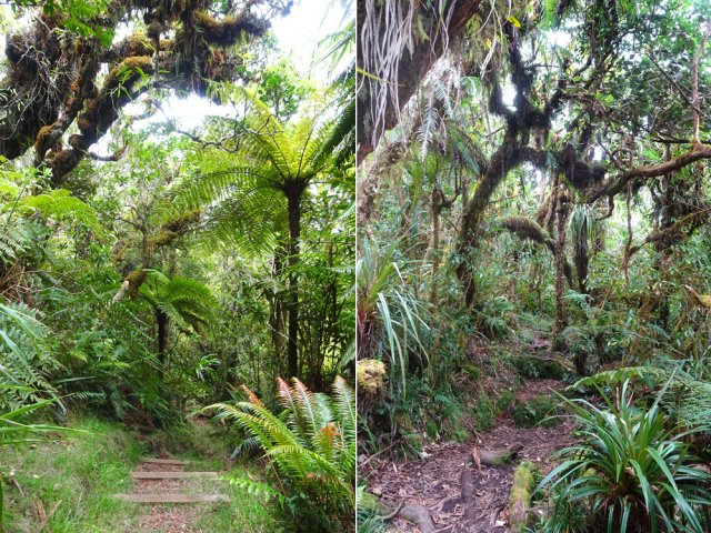 Les amateurs de photographies perdront peut-être un peu de temps