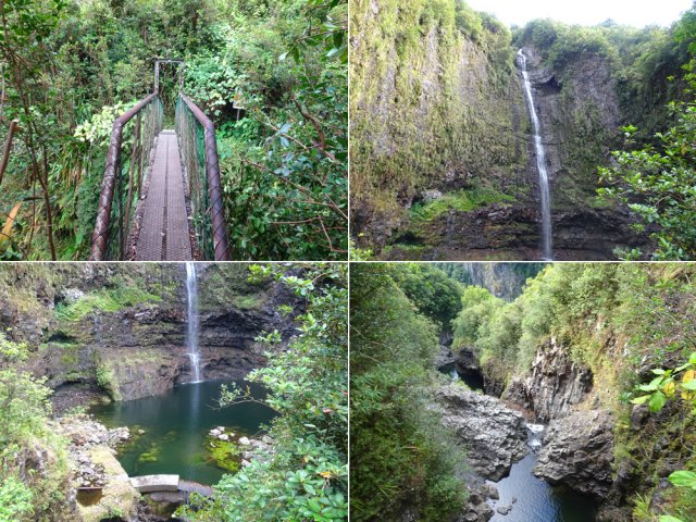 Une halte s'impose sur la passerelle du Bras Patience