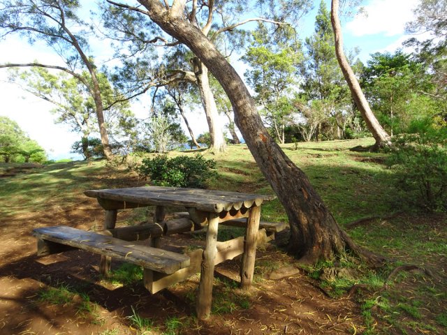 Une autre aire de repos dans une vaste clairière