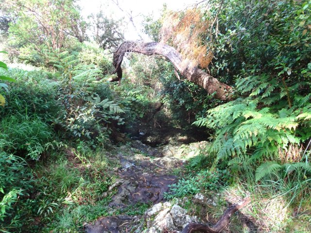 Franchissement d'une petite ravine