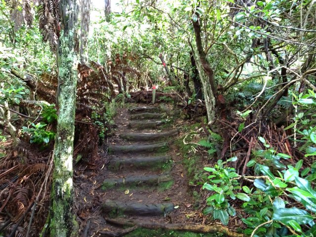 Et toujours des marches pour les parties pentues