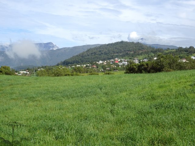 Nouvelle vue sur les montagnes en longeant une prairie