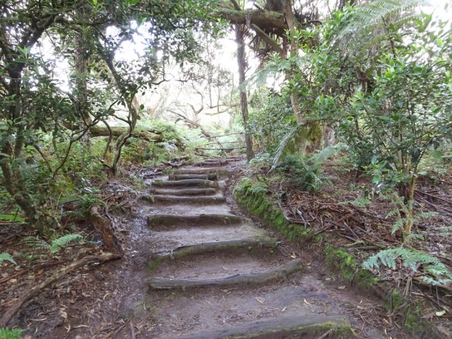 Marches pour éviter les glissades sur terre humide