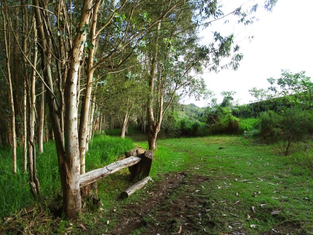 Un banc rustique pour se reposer avant d'entamer la descente