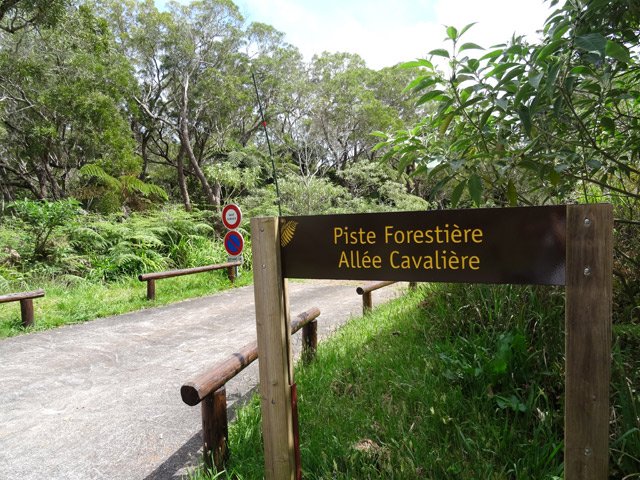 Départ de la Piste cavalière. Attention, on ne pleut plus se garer au départ