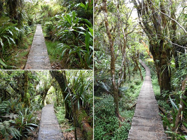 D'autres portions de planchers rectilignes pour éviter la boue