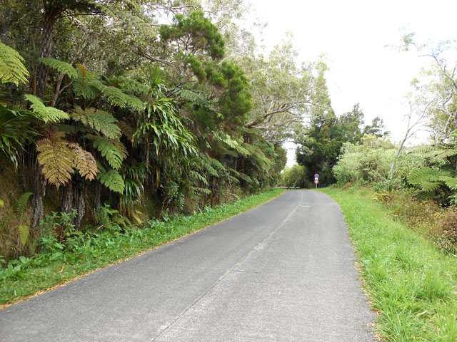 La route qui remonte vers l'allée cavalière depuis le parking