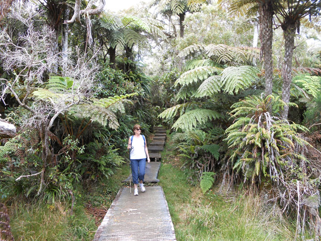 Tout le cheminement s'effectue sur un plancher de tamarin grillagé