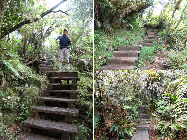 Quelques montées en escaliers, jamais difficiles