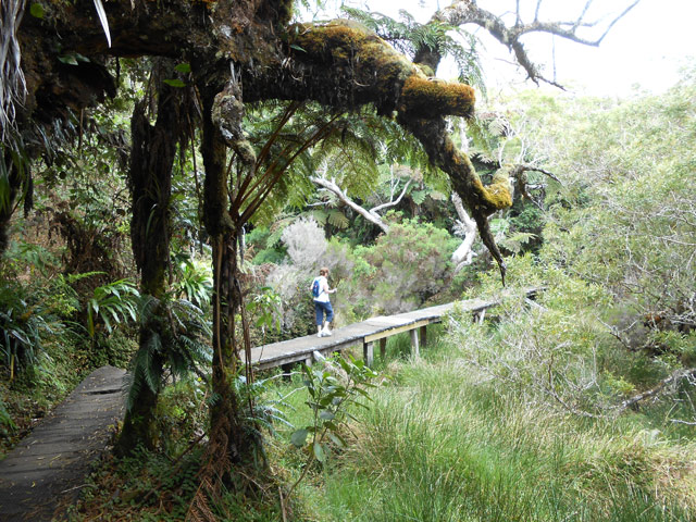 Passage d'une ravine, toujours sur plancher