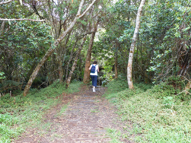La fin de la piste devient le début du sentier