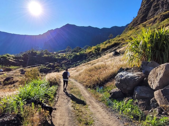 La piste en terre entre les cultures
