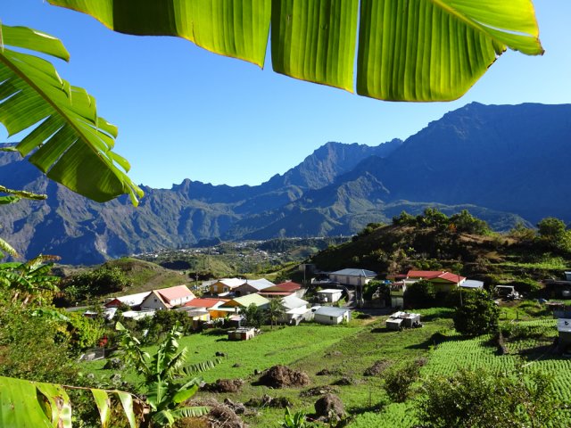 Les lentilles poussent au plus près des cases de l'Îlet de Gueule Rouge