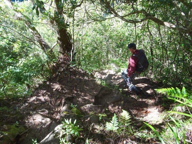 Très vite, il plonge littéralement vers la Ravine des Calumets