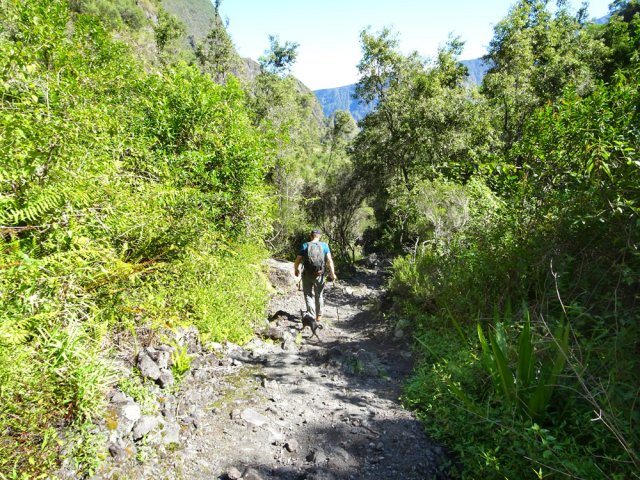 Portion plate et rocheuse à l'approche de l'Îlet Caleb