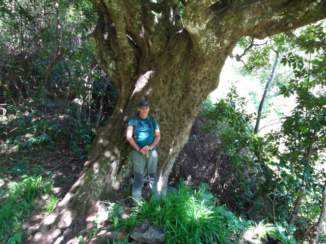 L'impressionnant bois rouge rejoint par un sentier assez rocheux