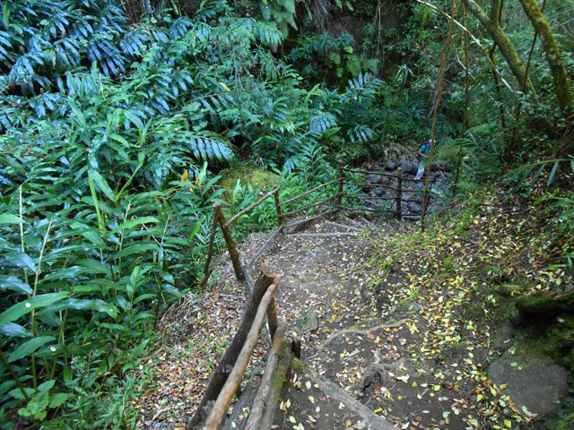L'arrivée à la belle ravine moussue