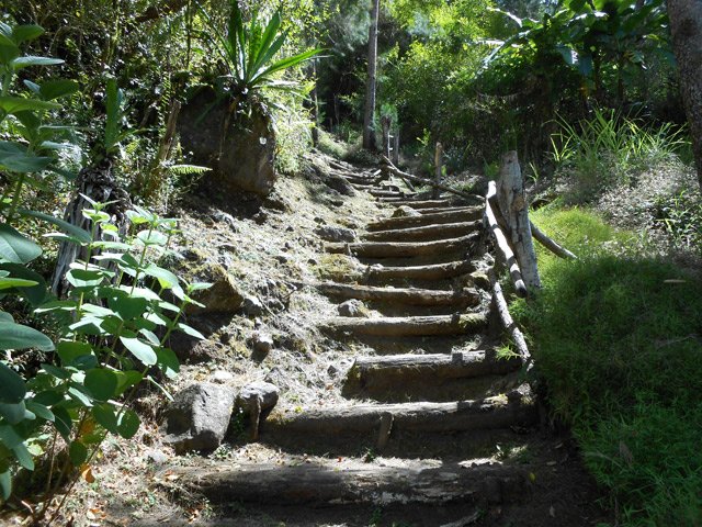Marches un peu hautes parfois avant d'atteindre les pistes