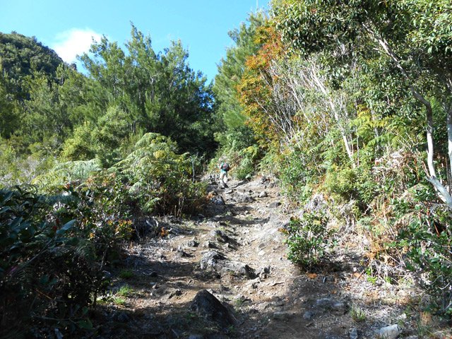 Partie plus rocailleuse mais large