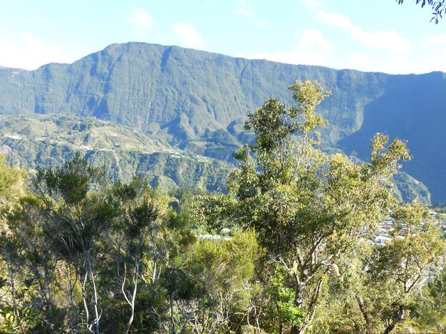 Le Piton Fougères qui domine Bé Cabot et la végétation de bord de sentier