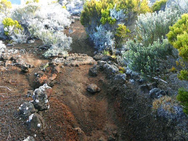 Une idée du sentier sableux