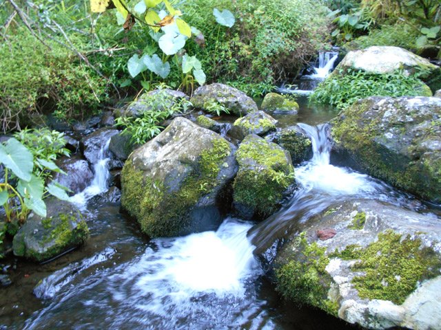 Petit tour sur le bord du cours d'eau