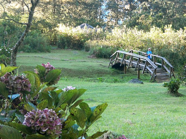 La passerelle au-dessus du marécage